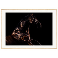 b1a23044-e03f-45ac-b83f-96eb724be7fb