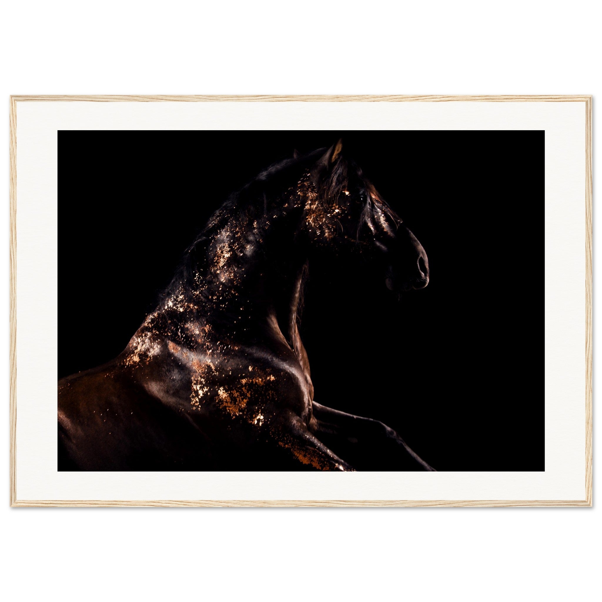 b1a23044-e03f-45ac-b83f-96eb724be7fb