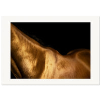 b1ab0b4f-6ea1-4c73-b164-bfb743807053