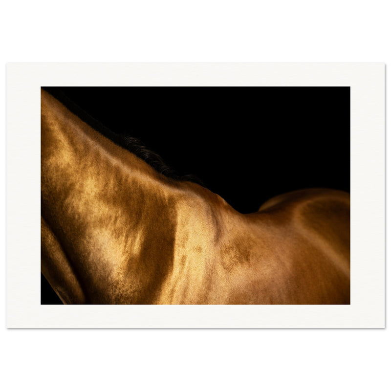 b1ab0b4f-6ea1-4c73-b164-bfb743807053