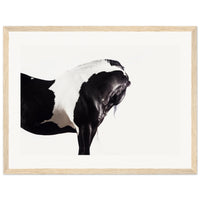 b1dd291a-8d50-4fbb-a2f1-0ccce3d7151f