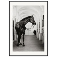 b1e2acb7-b693-4623-9cda-ddadffa5efa8