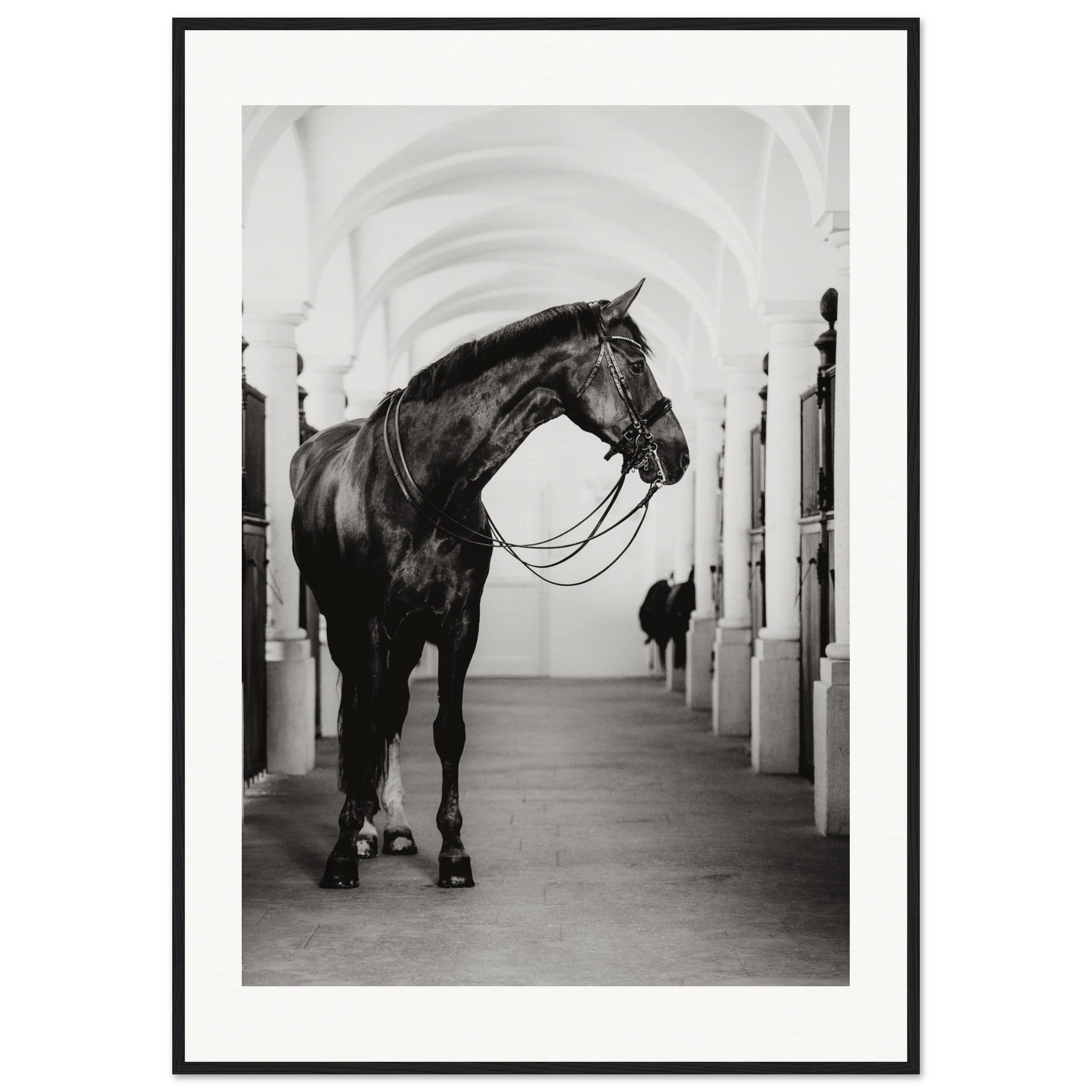 b1e2acb7-b693-4623-9cda-ddadffa5efa8