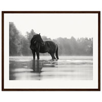 b1ed848a-2060-45a8-a20c-c0a0cc306839