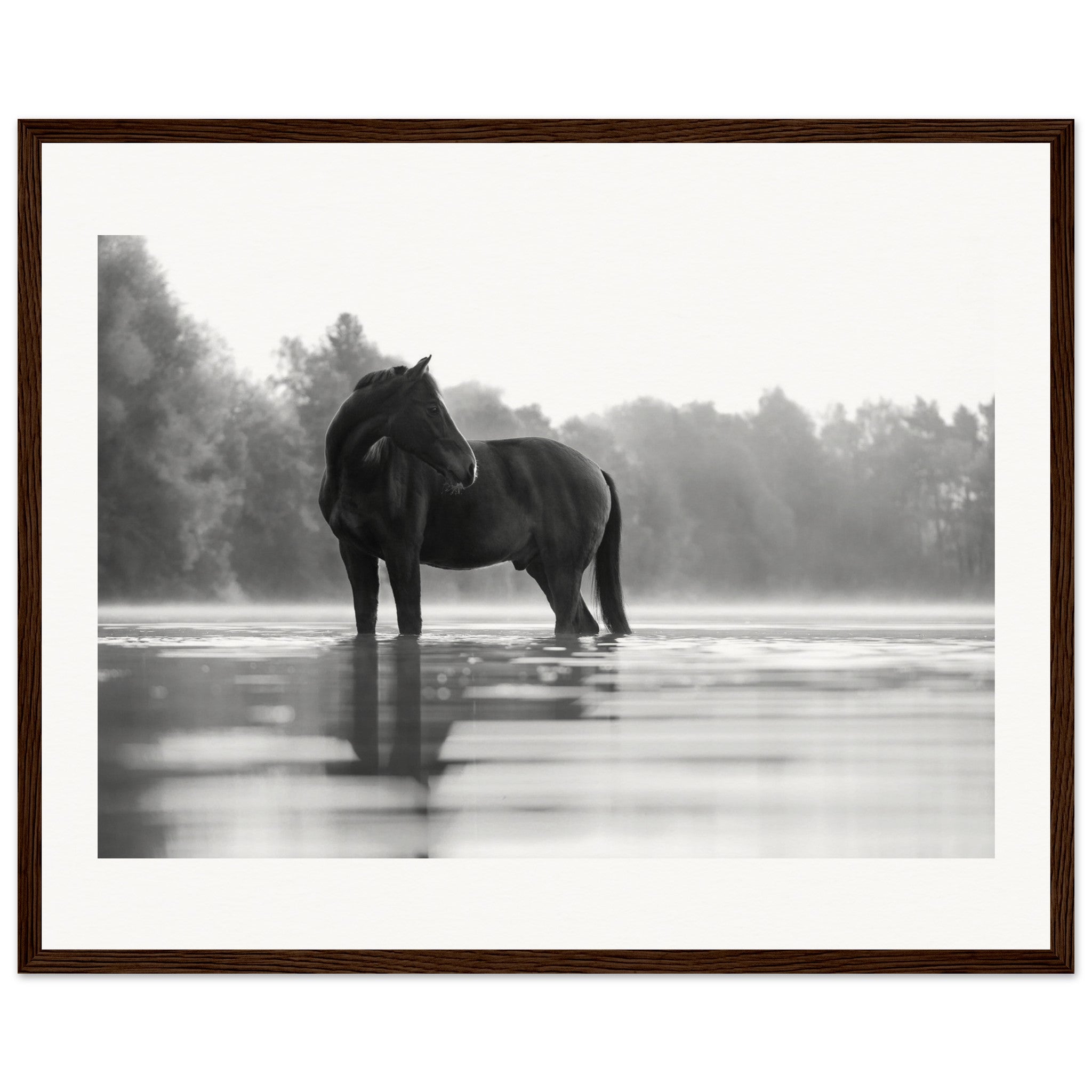 b1ed848a-2060-45a8-a20c-c0a0cc306839