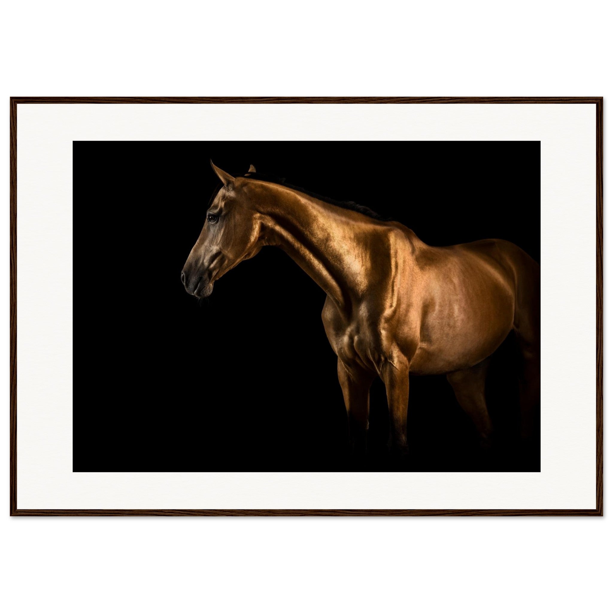 b208f114-7433-4de3-833f-577319ace63c