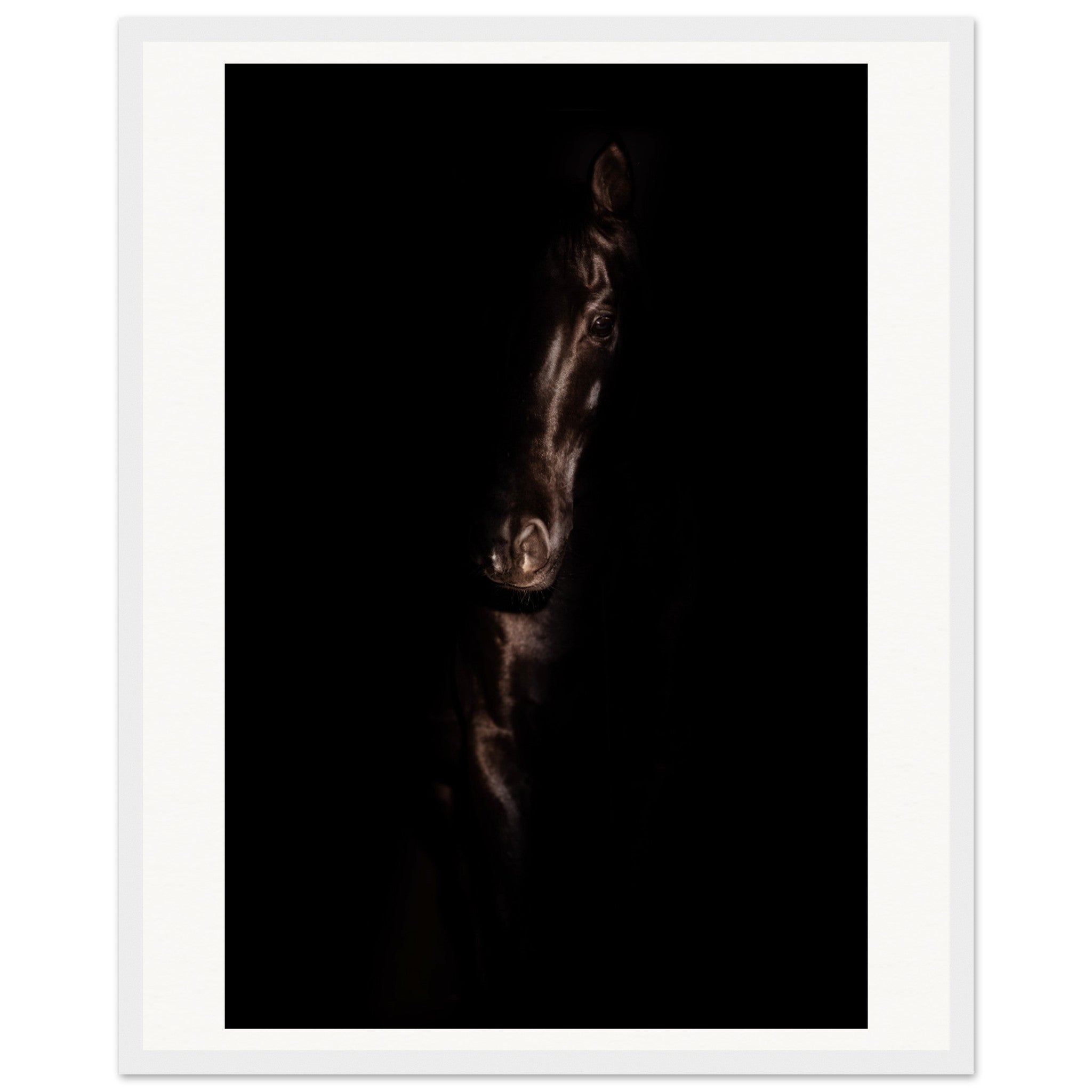 b2268dec-cfcb-4568-92ff-8ce3f6897dfc