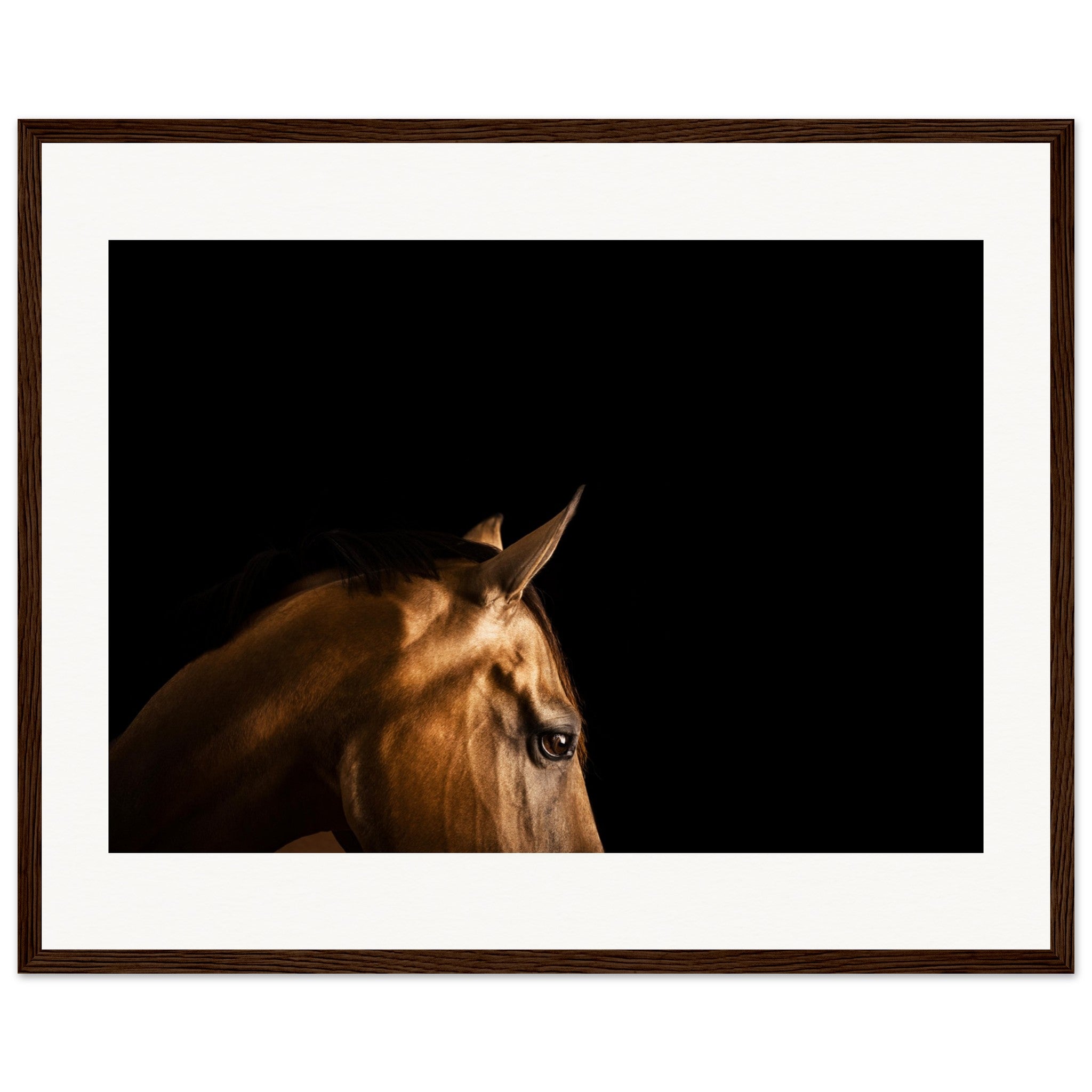 b23658a9-069a-4a07-9b17-b93caba82f05