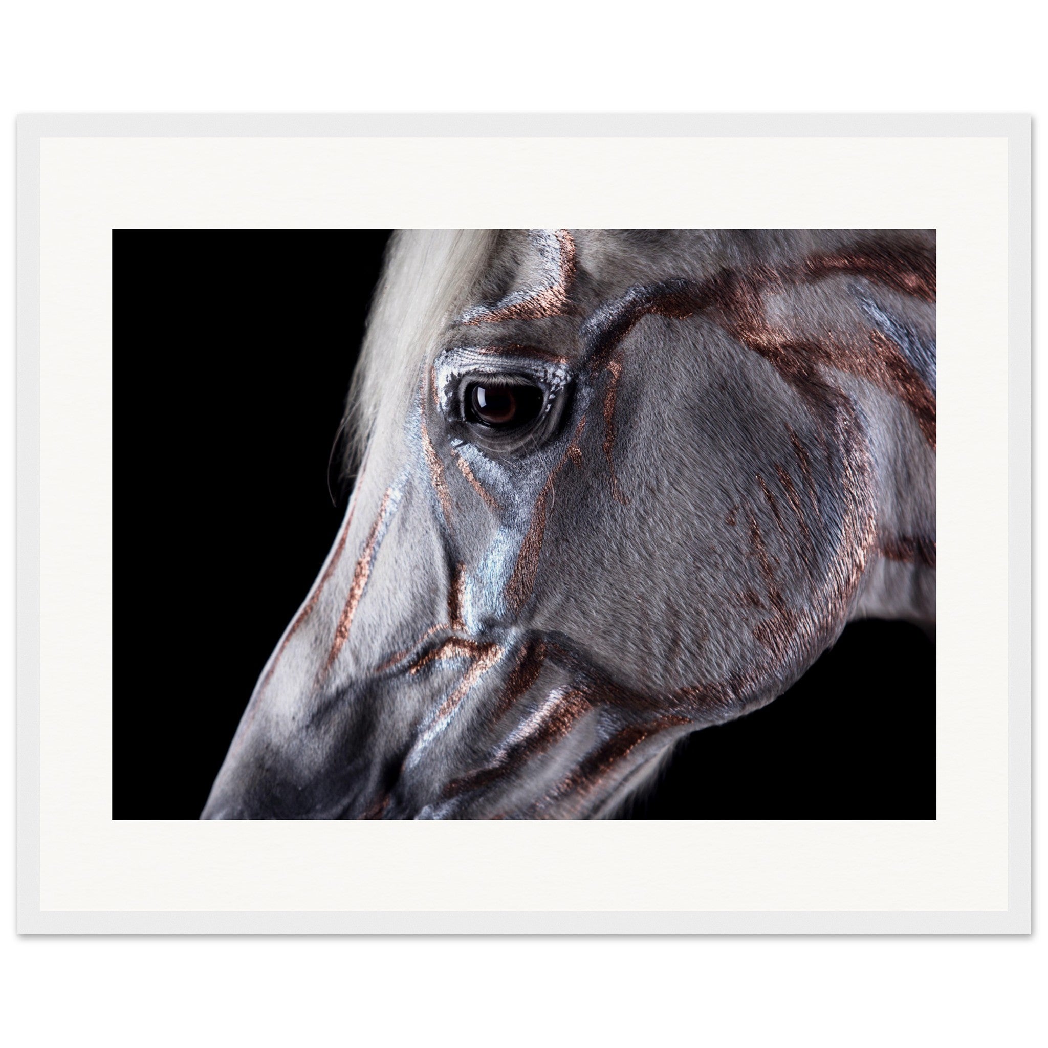 b2617ed6-5603-4c83-abd6-7eae313069e4