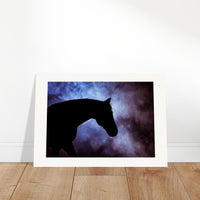 b2689065-e255-4679-ba37-045b50d69573