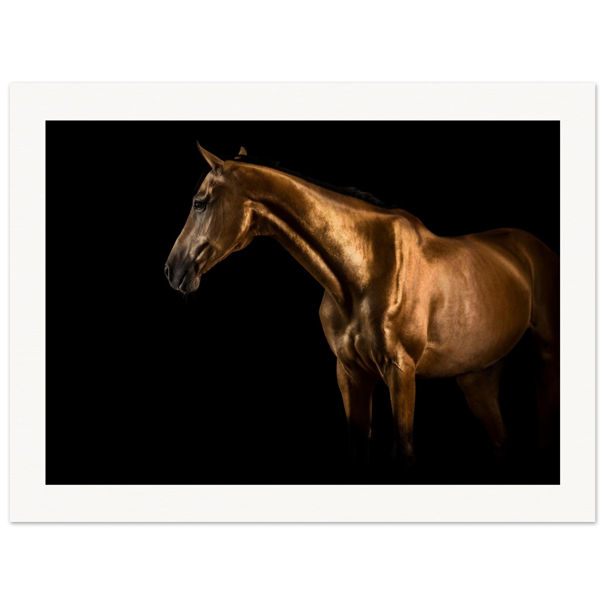 b2874173-bca7-4692-b707-00a50669a141