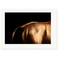 b2a5a5a4-0a5f-42fd-baf2-bfe05227d3de