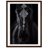 b2d98e23-e3de-486b-b7f9-16ebbb1a34dd