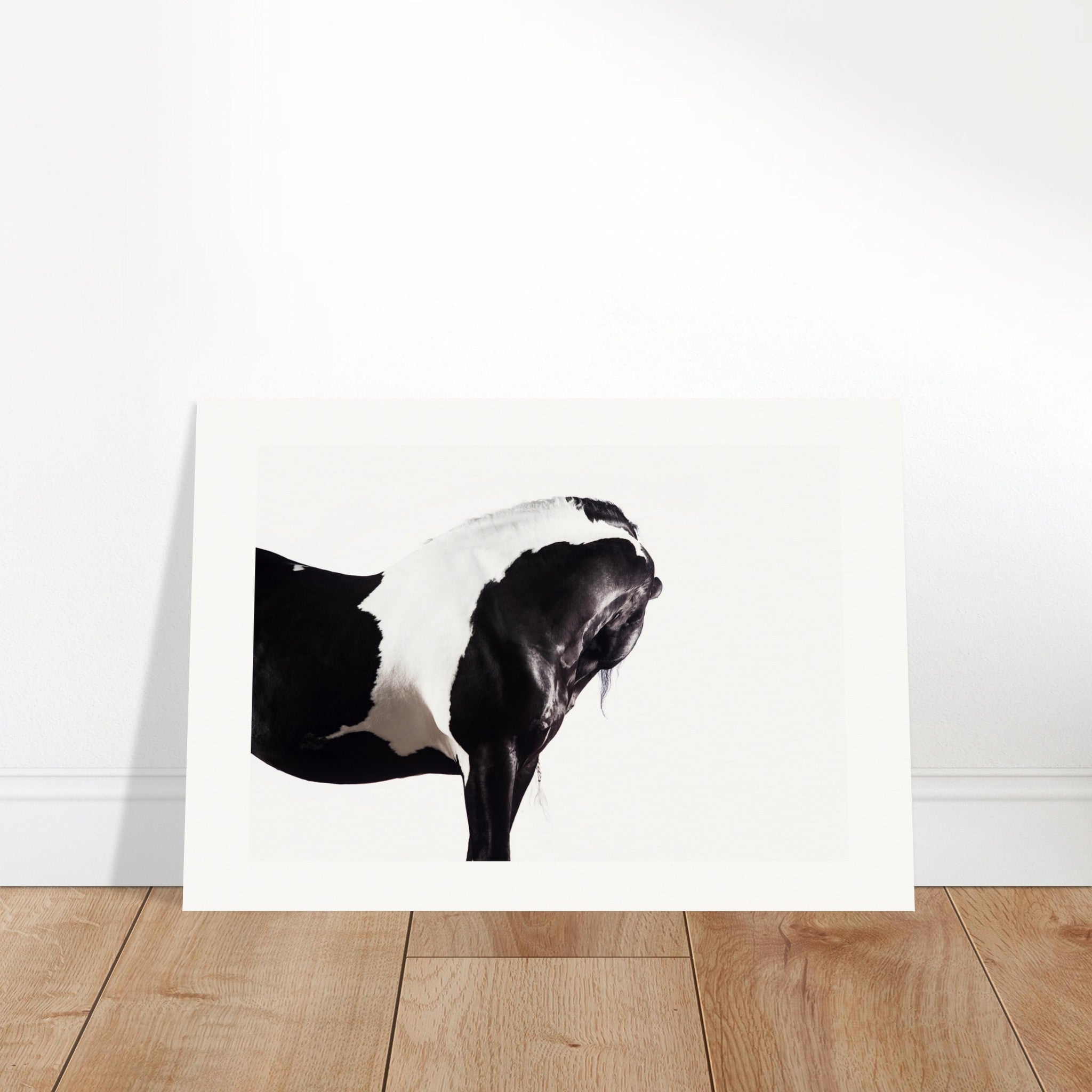 b2e48e66-8ece-4257-9759-39bdddb5aa3d