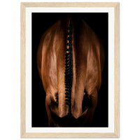 b2fde197-59bb-412a-ad0d-a3a5bf255e9f