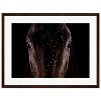 b305d9c5-973c-4eca-9efe-88bb9042ee96