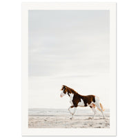 b3123e6b-6143-412c-b209-8752961e8cf0