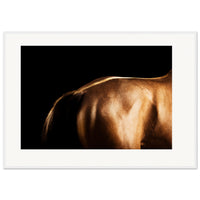 b342c26a-a497-4b17-91c4-1baf0dc2ff6a