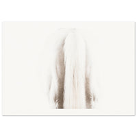 b36ac7f6-5207-4bc9-8d74-f38017f7953d