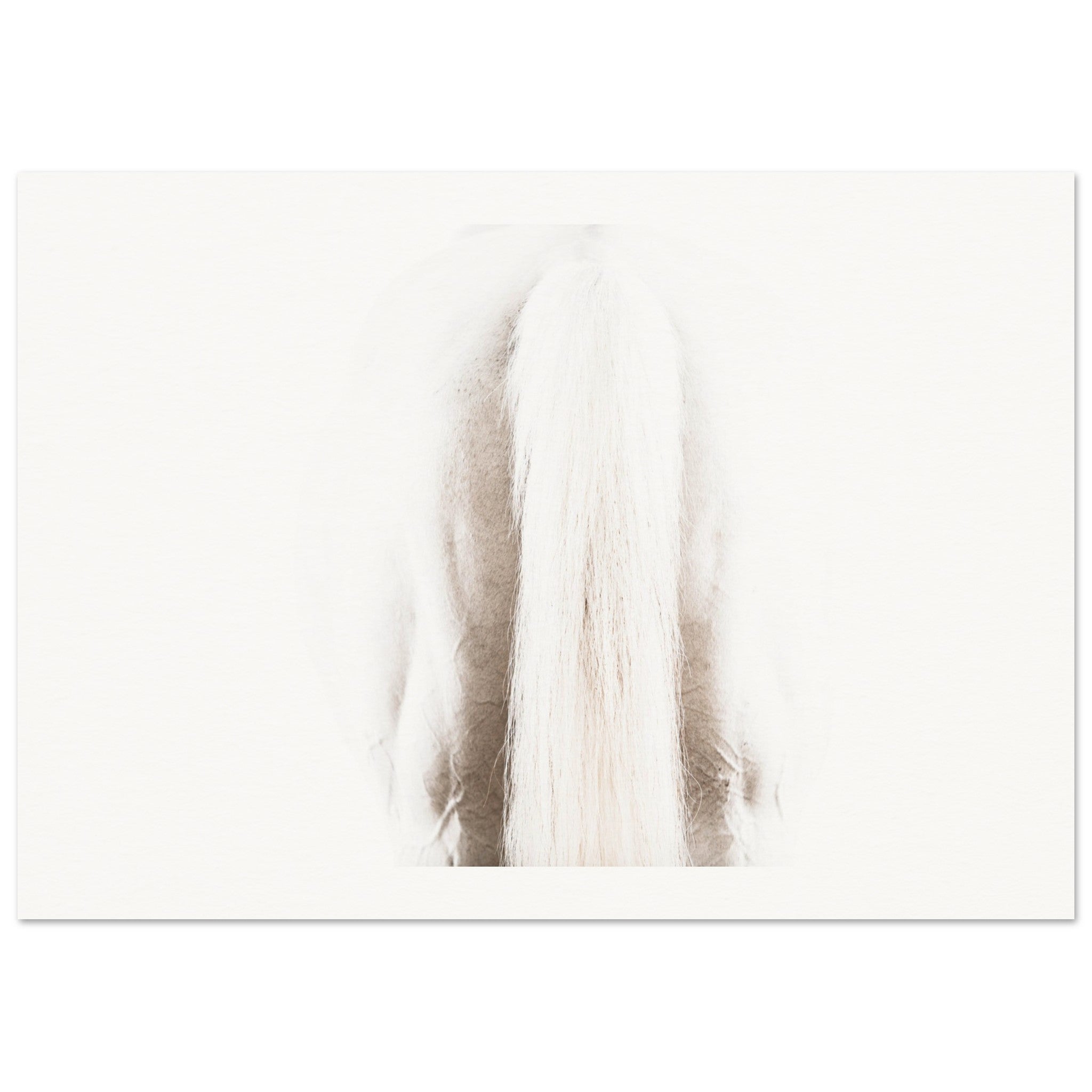 b36ac7f6-5207-4bc9-8d74-f38017f7953d