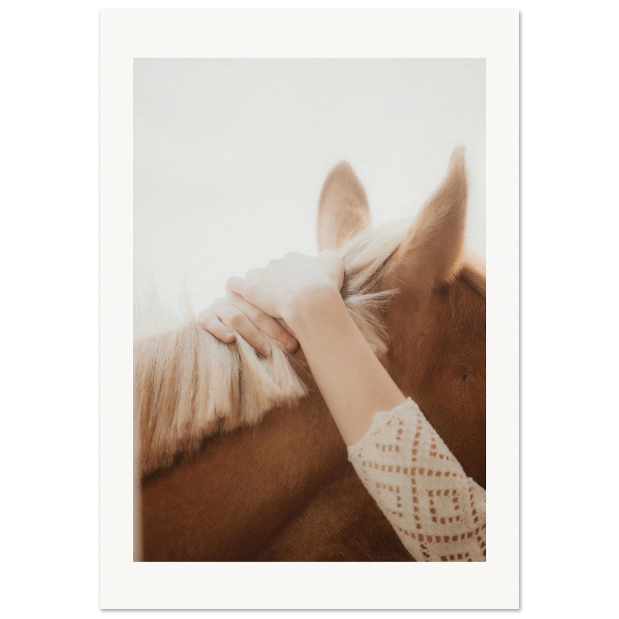 b399ffe8-37e9-46b8-a4d4-65c134d2b0d0