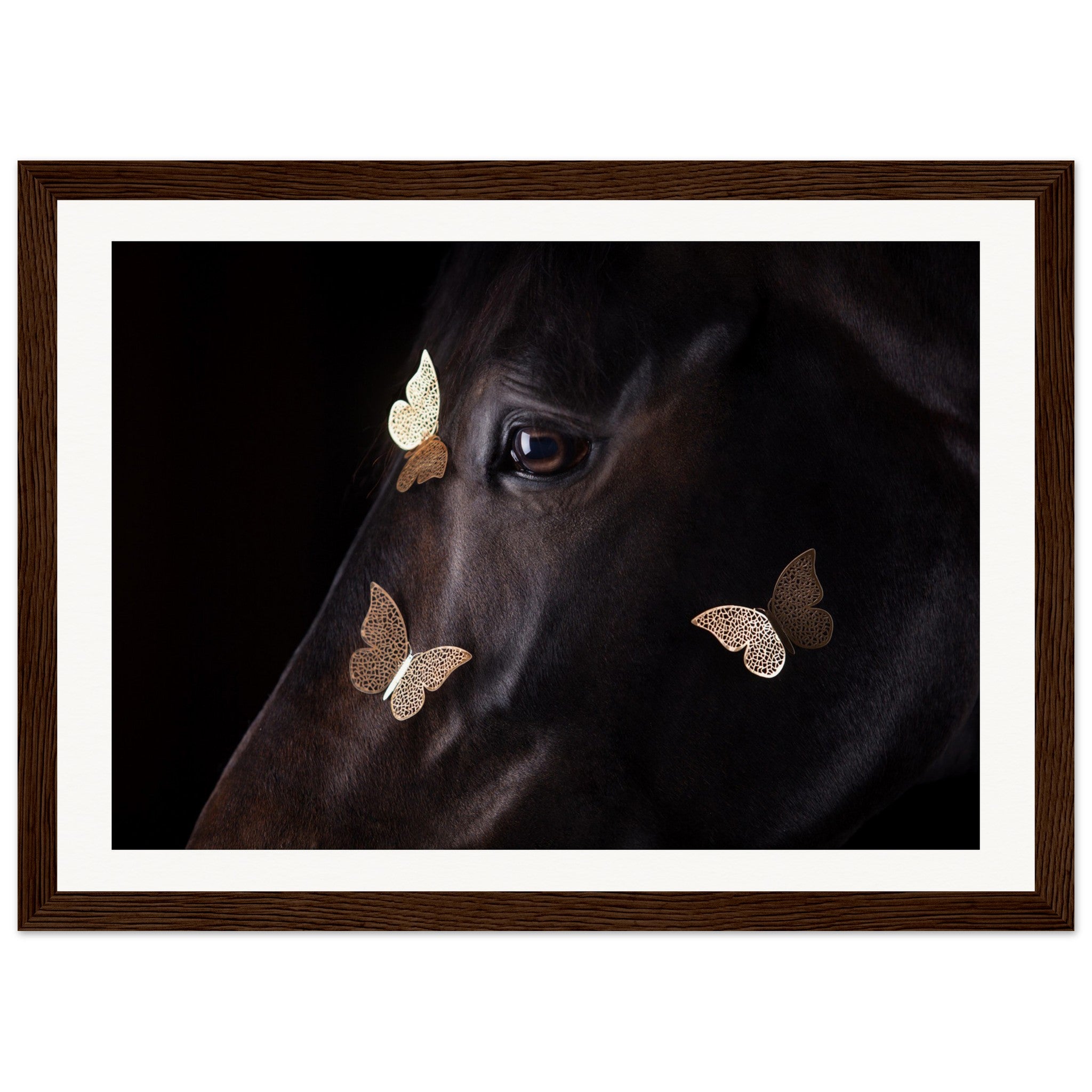 b3e2f60e-70e5-4025-aca8-a807e2b4878d