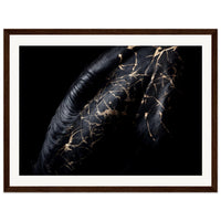 b3eca643-011f-46b0-8c4a-2eb0b89c2870