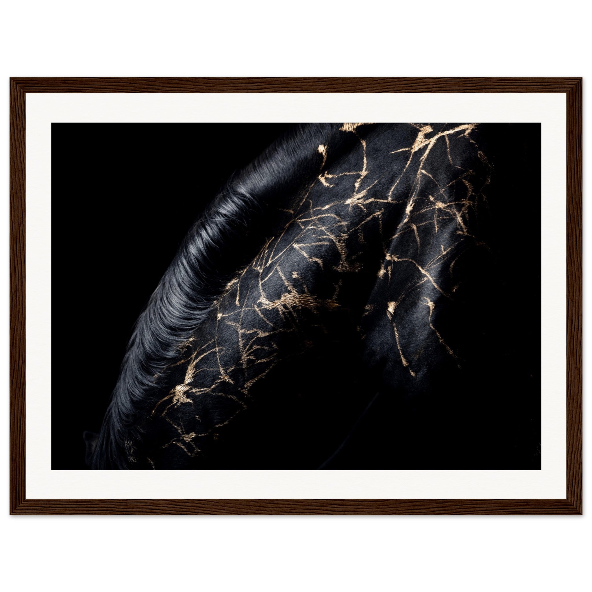 b3eca643-011f-46b0-8c4a-2eb0b89c2870