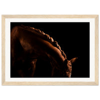 b3f21728-95d1-4d0c-8989-6170288e1479