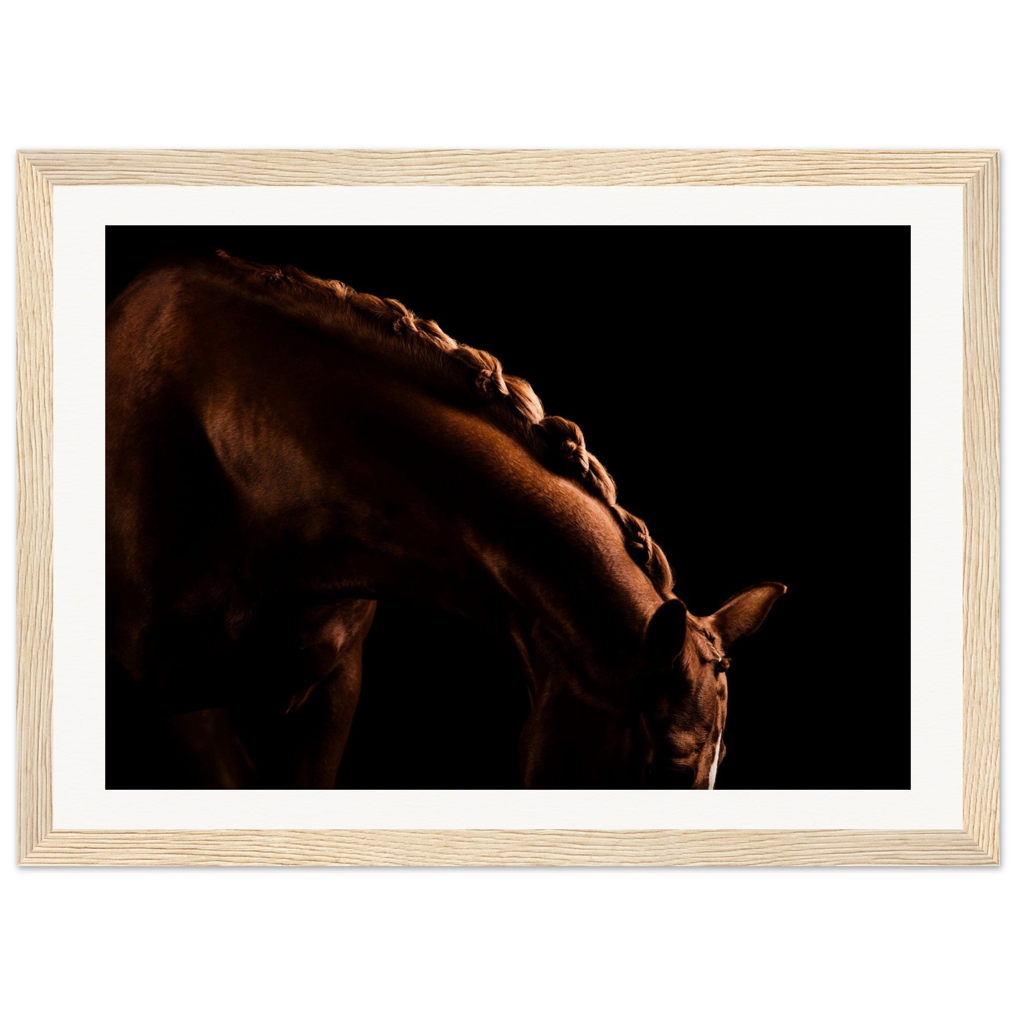 b3f21728-95d1-4d0c-8989-6170288e1479