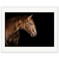 b41e691d-c7b8-4f9a-88ec-9051a29a1195