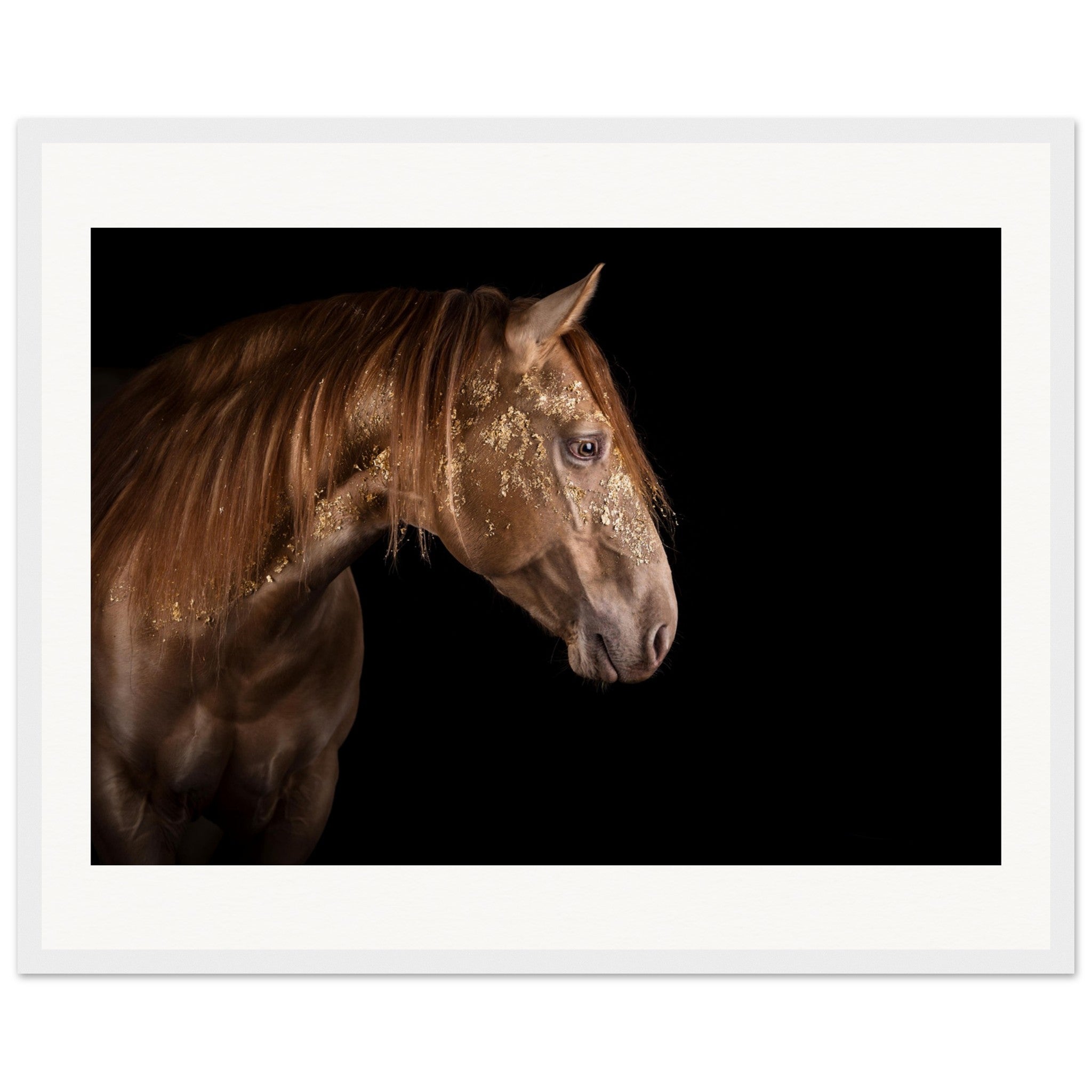 b41e691d-c7b8-4f9a-88ec-9051a29a1195