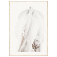 b4326e64-0089-4717-aaf0-de8ff2d0b673