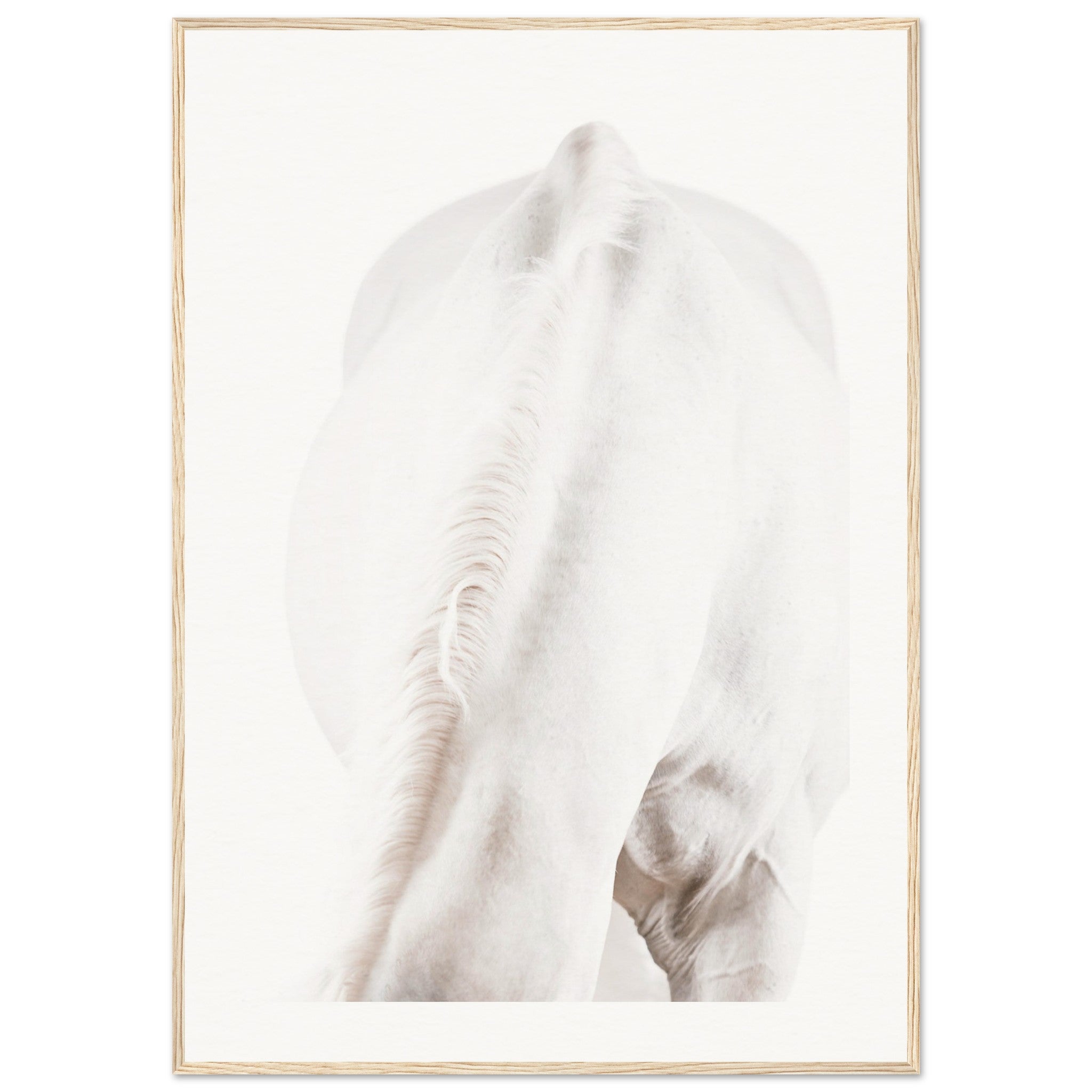 b4326e64-0089-4717-aaf0-de8ff2d0b673