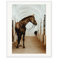 b458e3df-5efc-4425-968a-80c8d67e645e