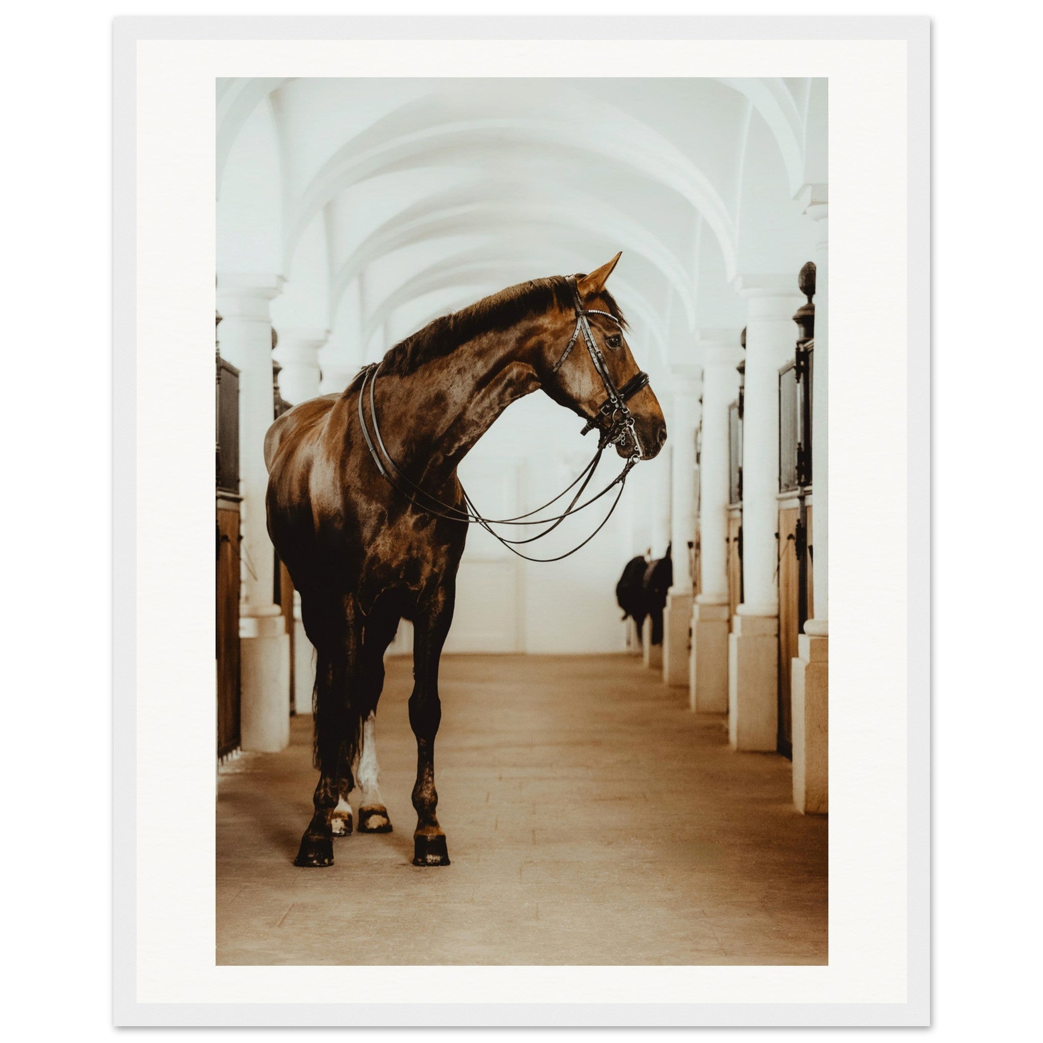 b458e3df-5efc-4425-968a-80c8d67e645e