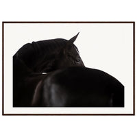 b4815929-9870-4dbe-9109-c2748750b492