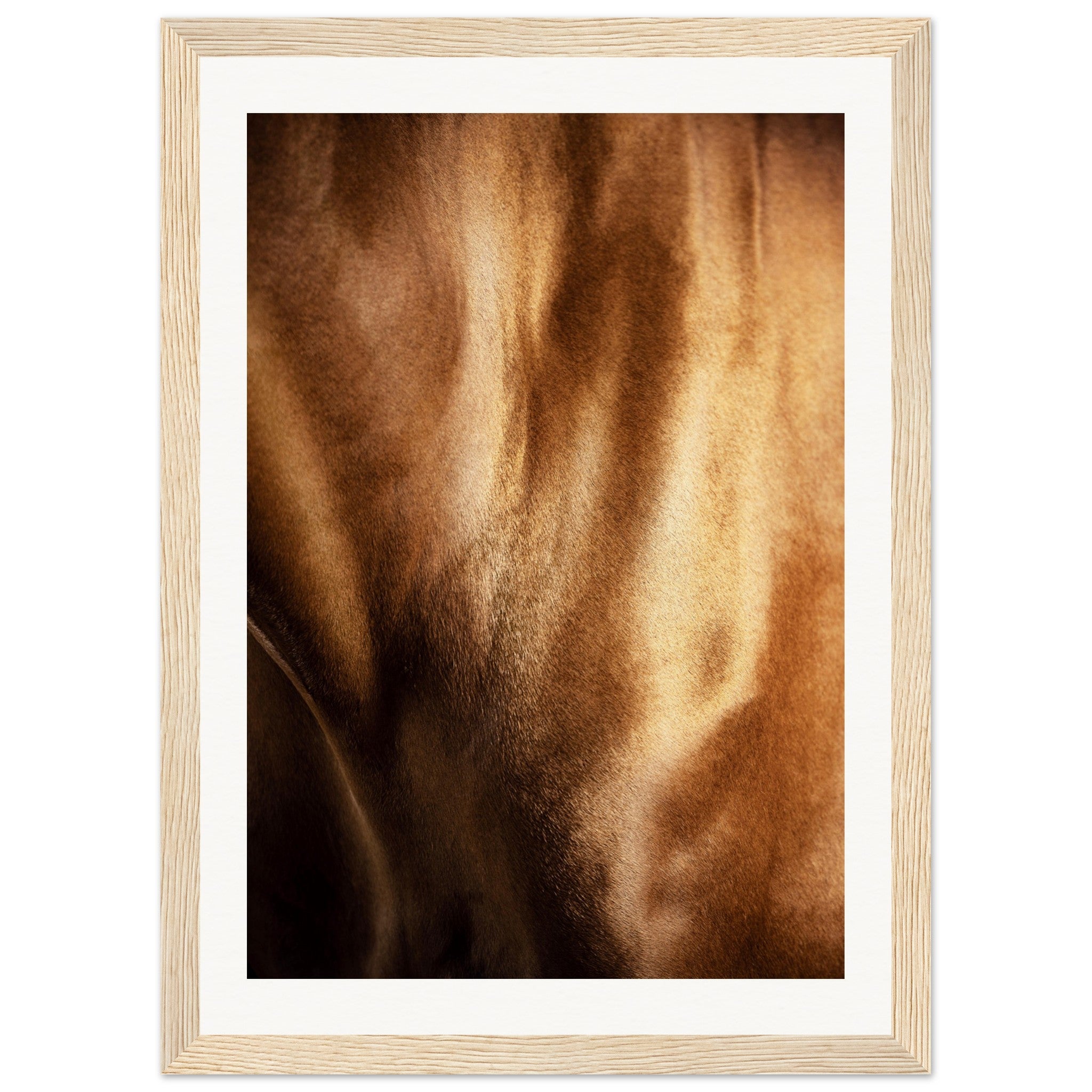 b4a01bc8-9fe3-45c9-bc07-bb0cf5e51daa