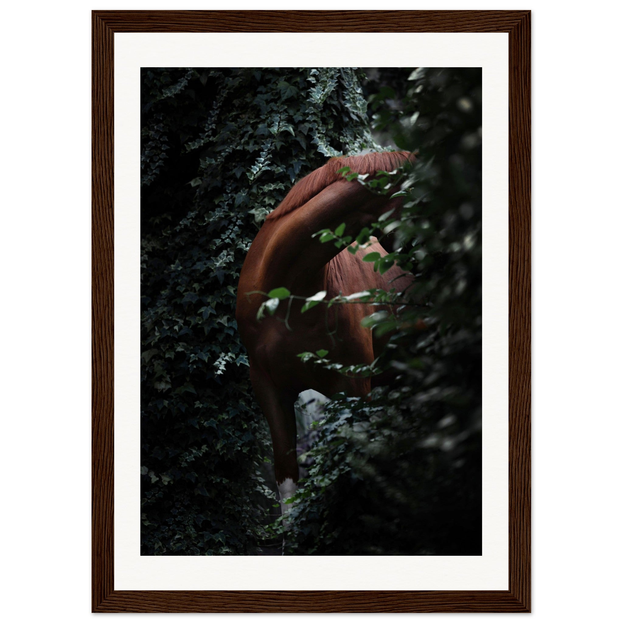 b4f0e2a0-8b27-4e2b-a11d-5d3d5b0c4f3a