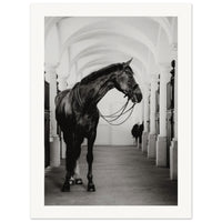 b540c6a9-4bb9-46de-9129-f56c293d5768