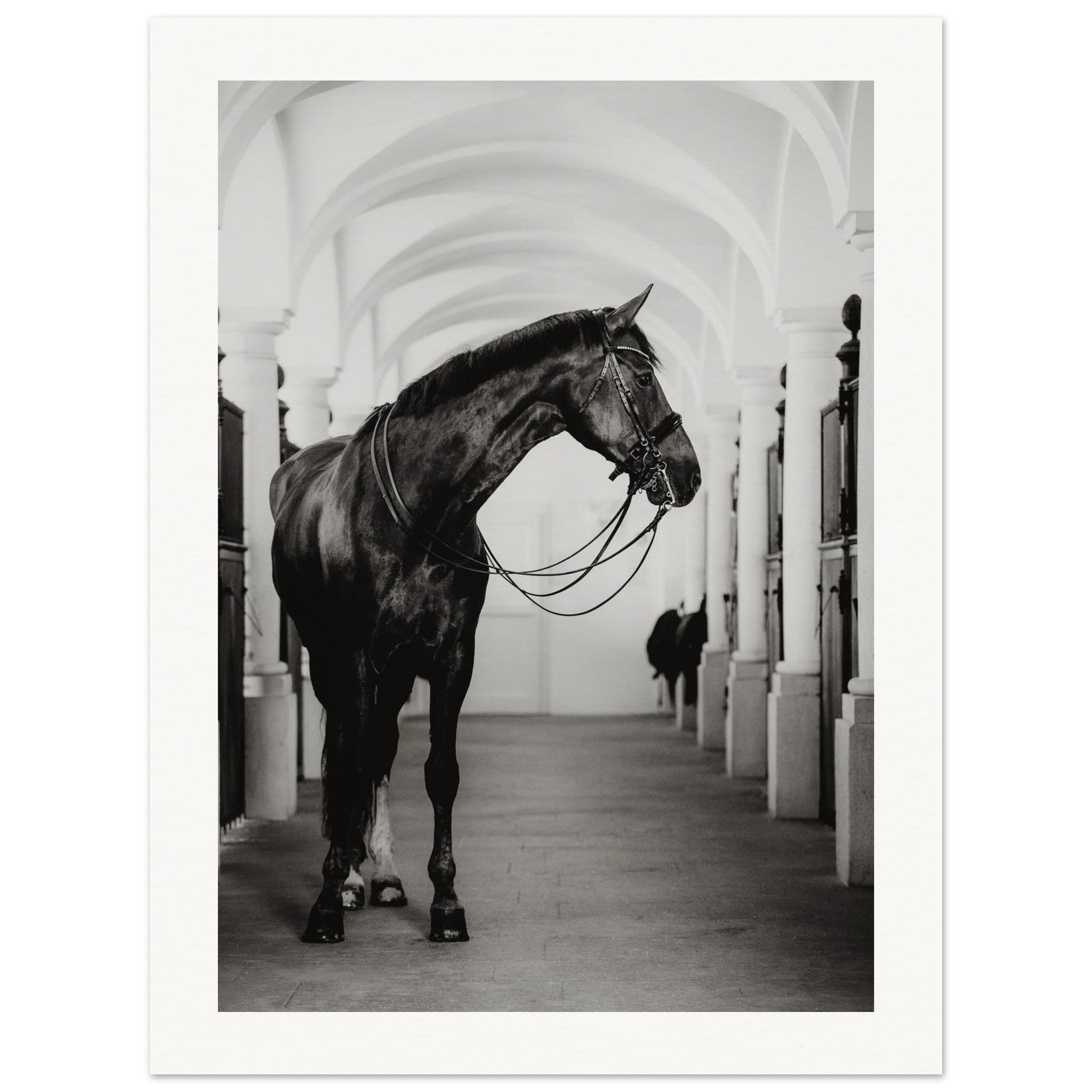 b540c6a9-4bb9-46de-9129-f56c293d5768