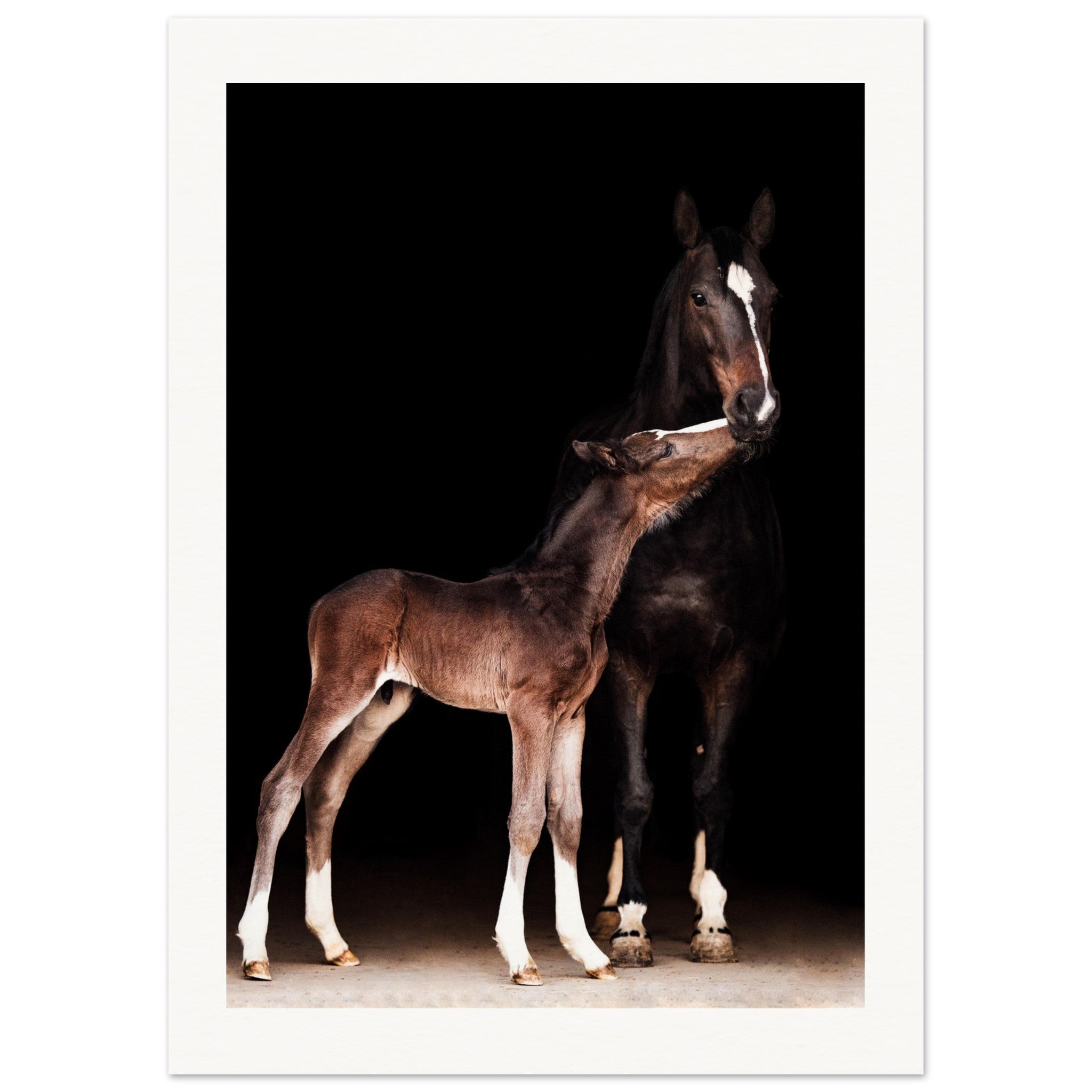 b56b124f-afce-4e0f-b923-e03aeeac843b