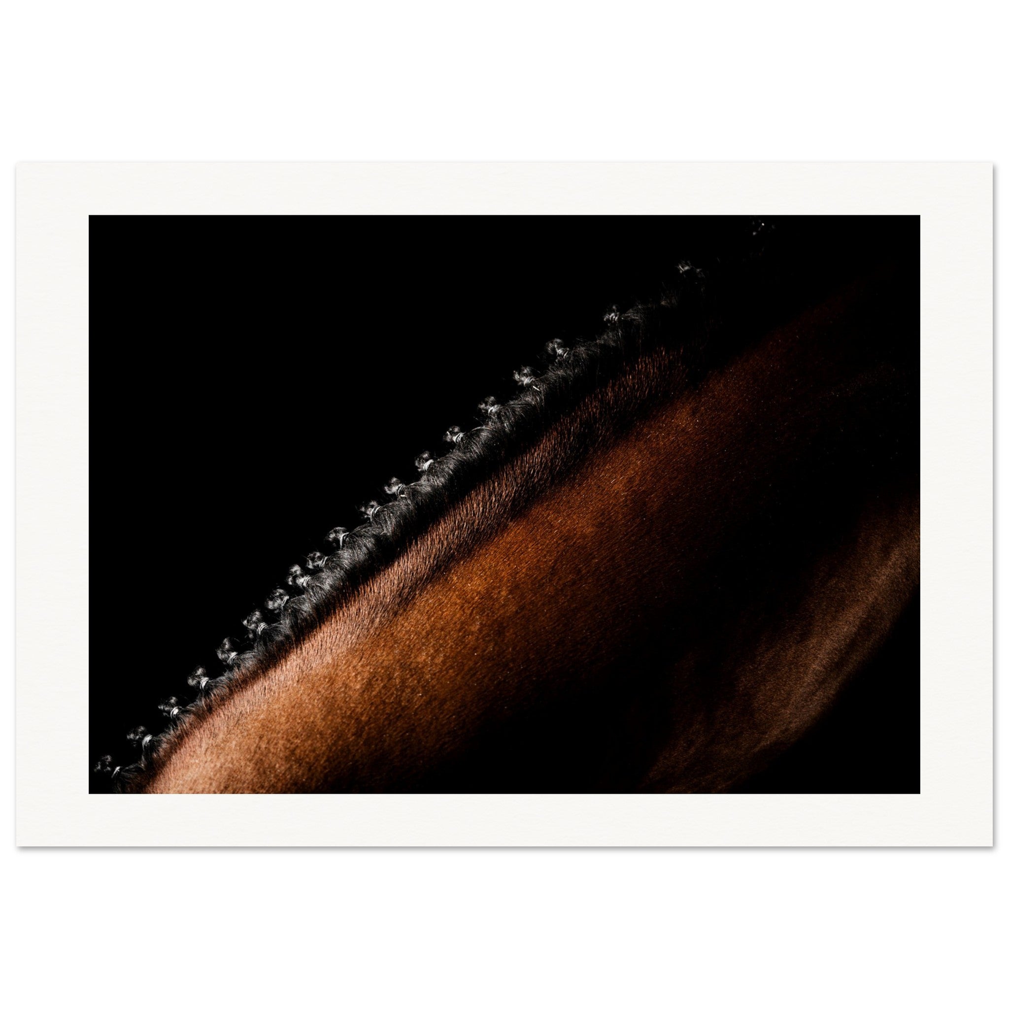 b58b3bb1-a59d-4faa-a37c-63ff17503368