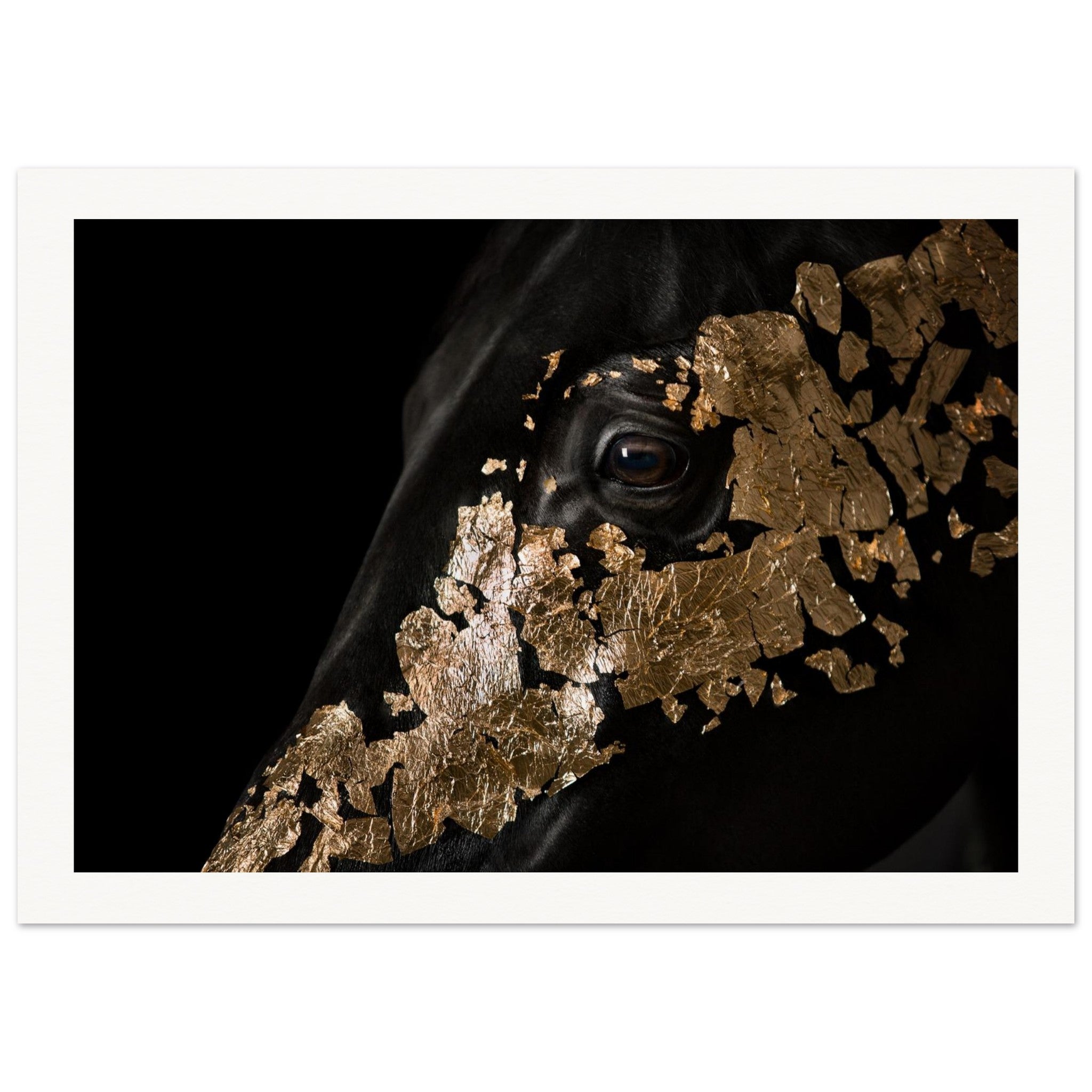 b5bdca4f-ad1d-4399-a6ee-82349801972f