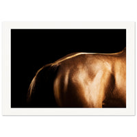 b6616b93-52ad-44d5-9ea0-0b0c3c4bd7b1