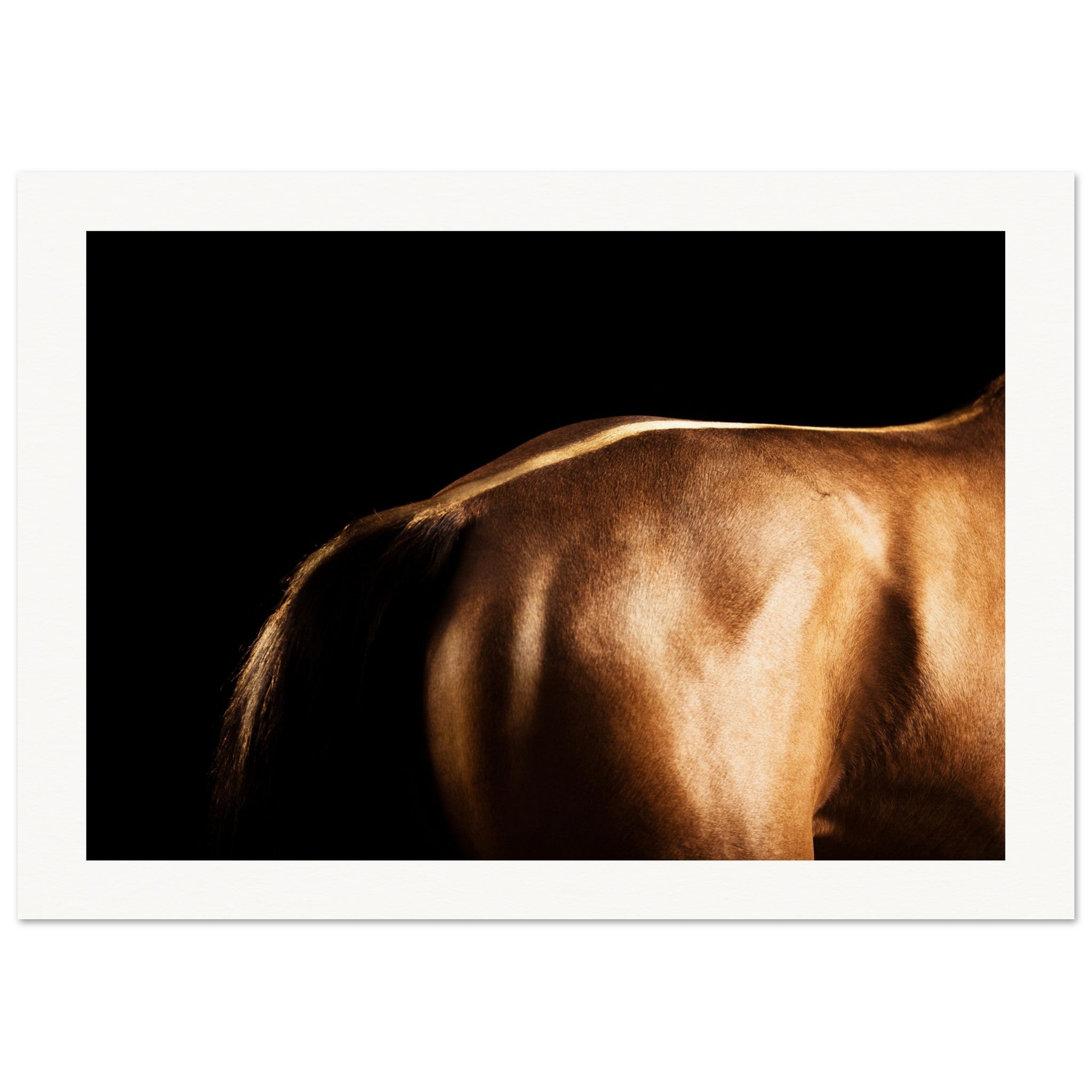 b6616b93-52ad-44d5-9ea0-0b0c3c4bd7b1