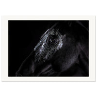 b6721c14-aa1d-434e-81de-cec0e2ab1616