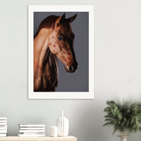 b6c5dbac-9a17-4302-9972-6b9dc75d55a5