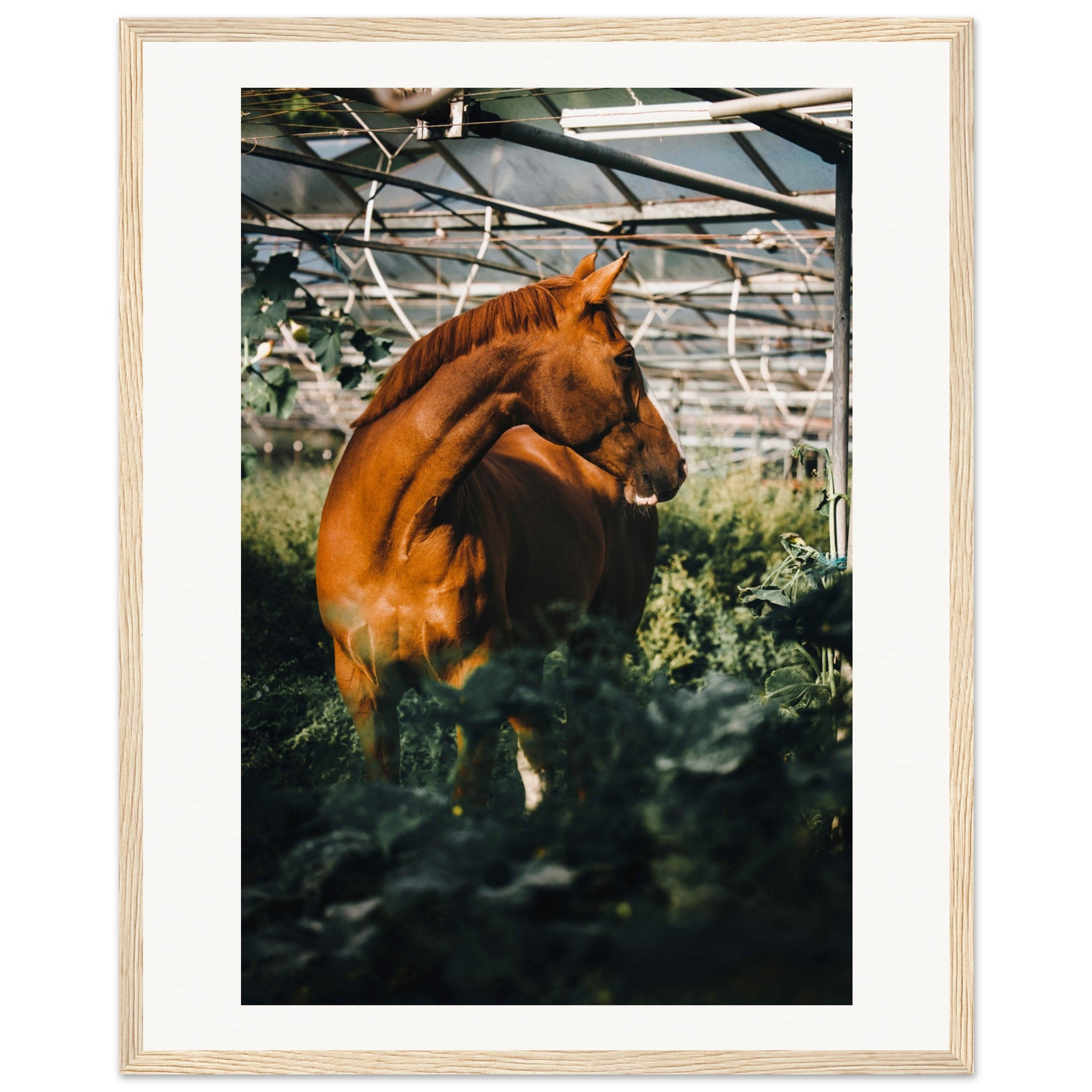 b70e8790-9e37-4184-a972-9f35cbc6d1e8