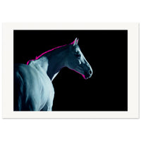 b7441923-b735-4eb5-b4aa-bdb01ec6898b